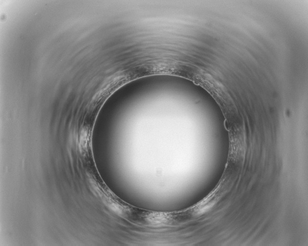 X0000087060142200704251038