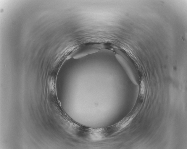 X0000087060143200704251038