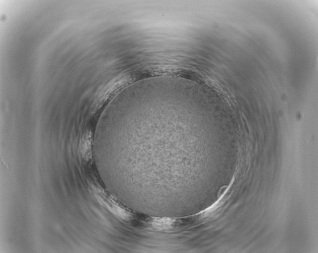 X0000087060144200704251038