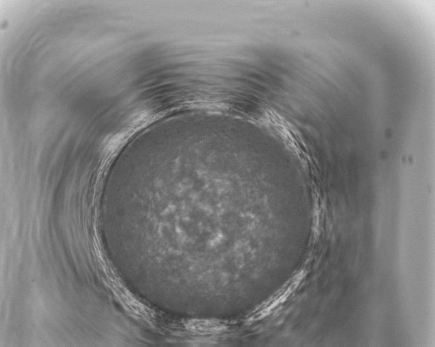 X0000087060145200704251038