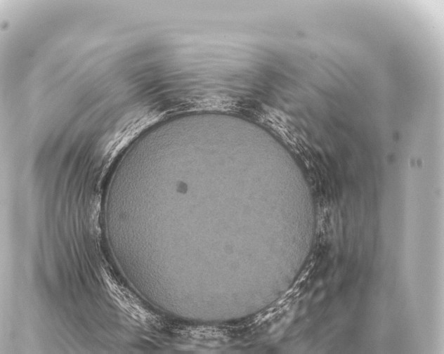 X0000087060146200704251038