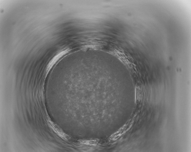 X0000087060147200704251038