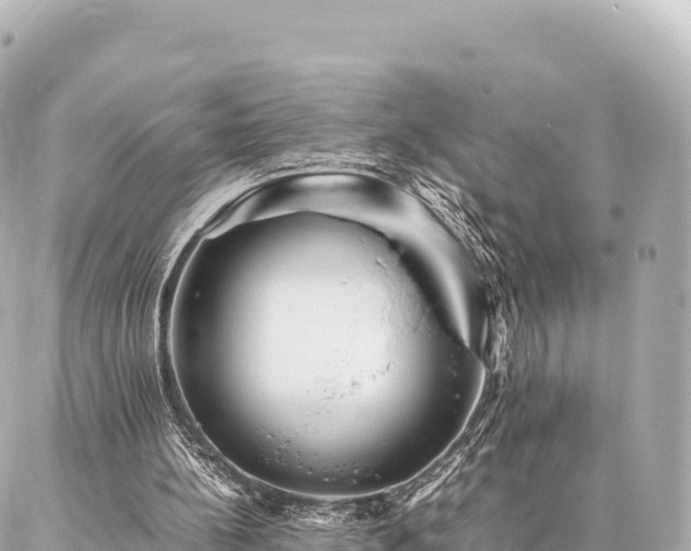 X0000087060148200704251038