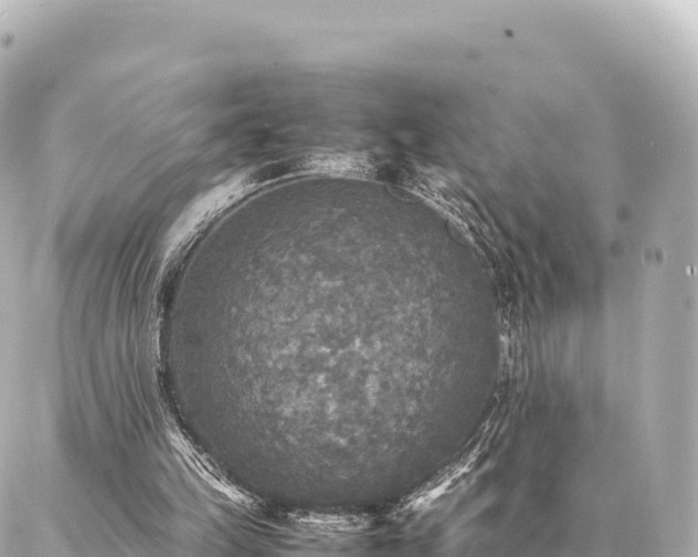 X0000087060149200704251038