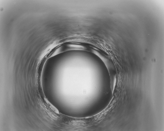 X0000087060150200704251038