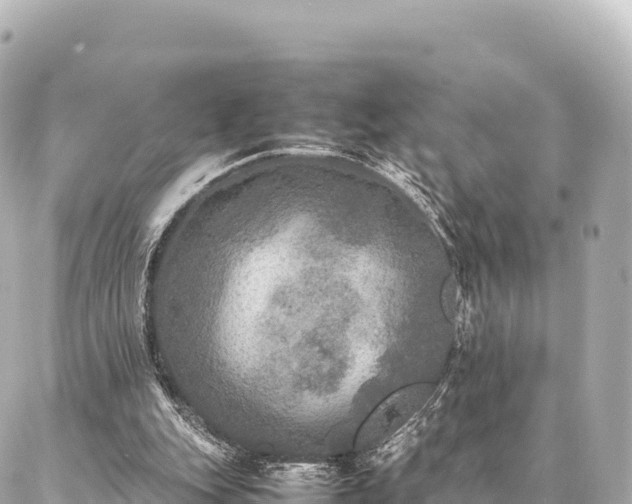 X0000087060151200704251038