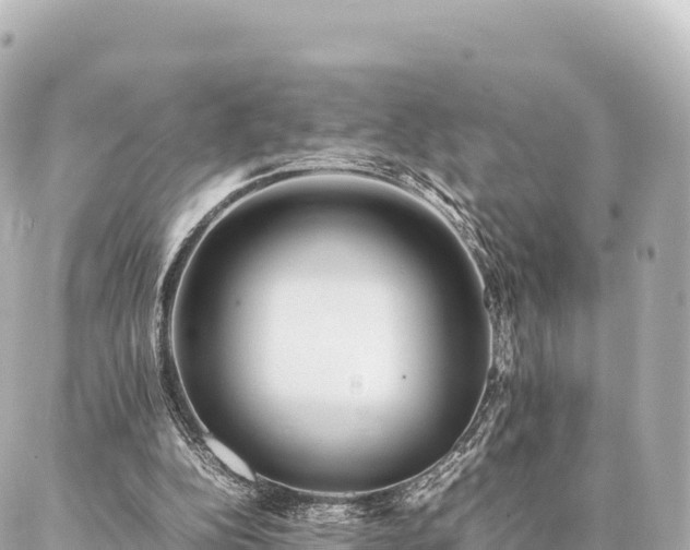 X0000087060152200704251038