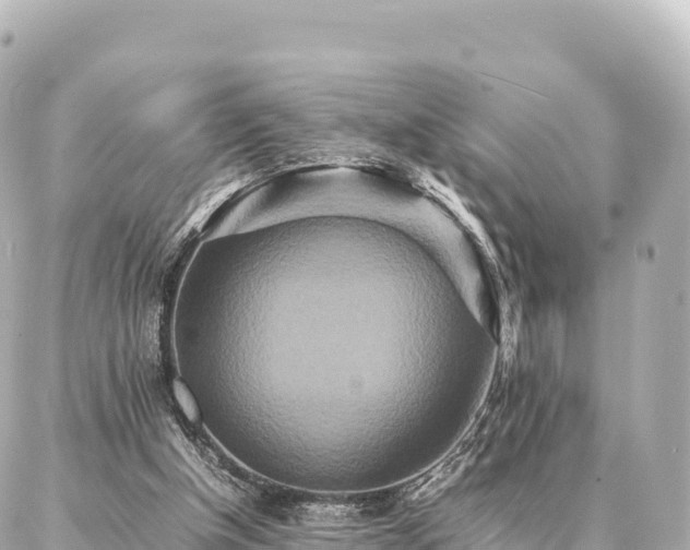 X0000087060154200704251038