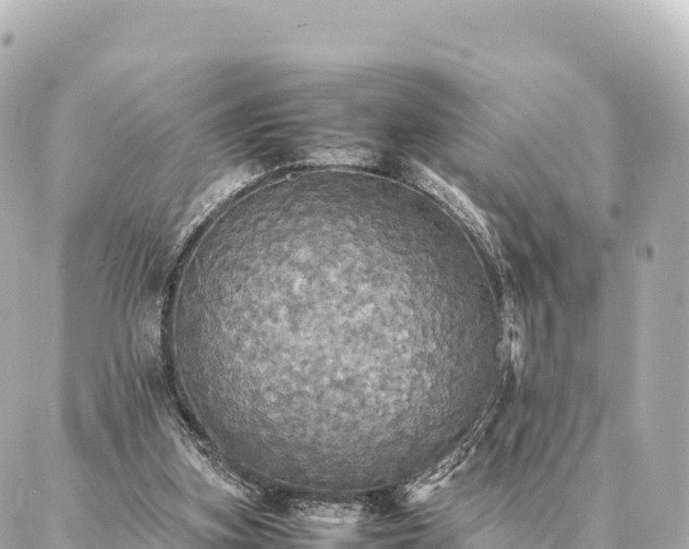 X0000087060155200704251038