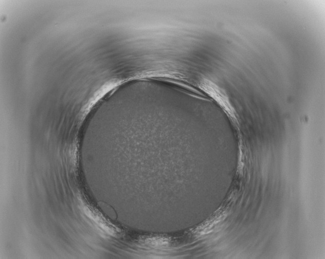 X0000087060156200704251038