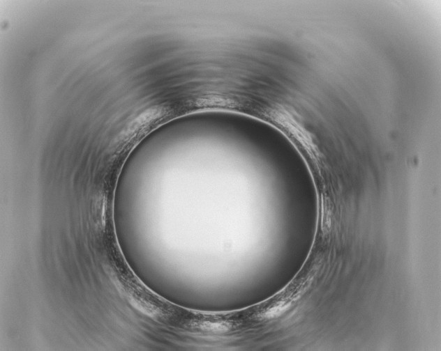 X0000087060157200704251038