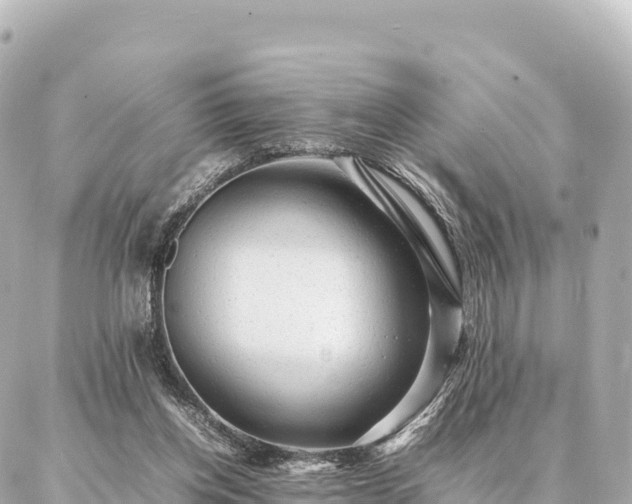 X0000087060158200704251038