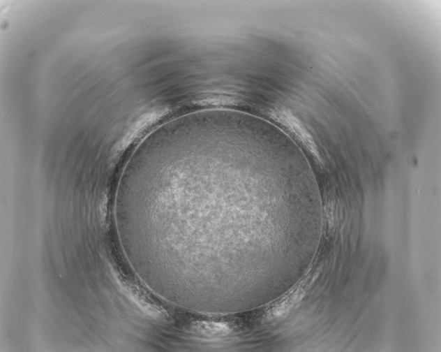 X0000087060159200704251038