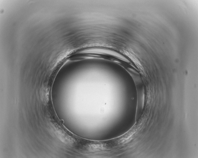 X0000087060160200704251038