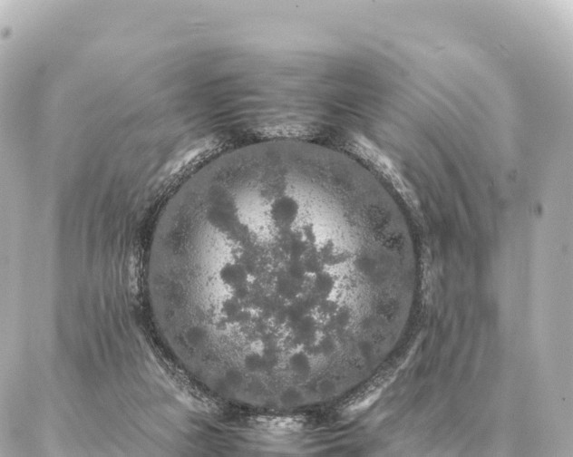 X0000087060161200704251038