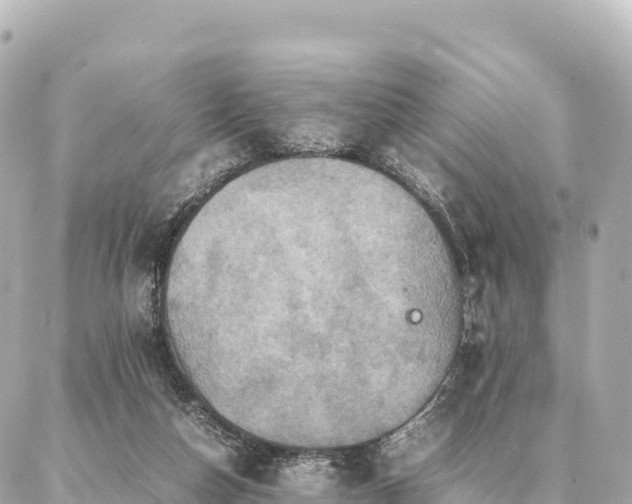 X0000087060162200704251038