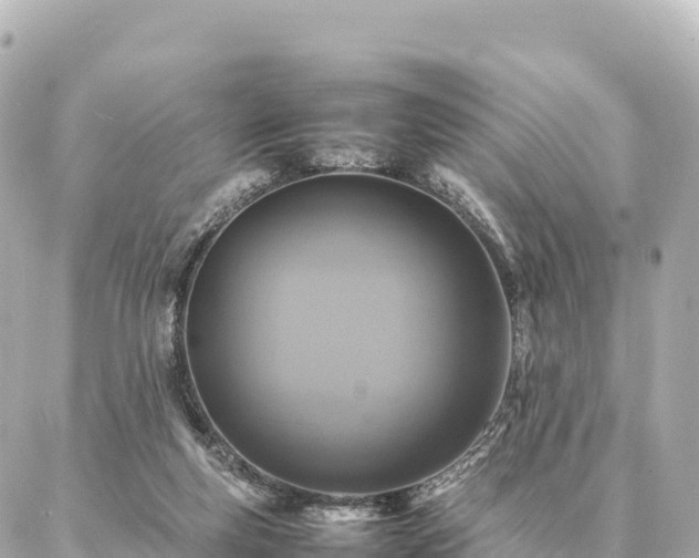 X0000087060163200704251038