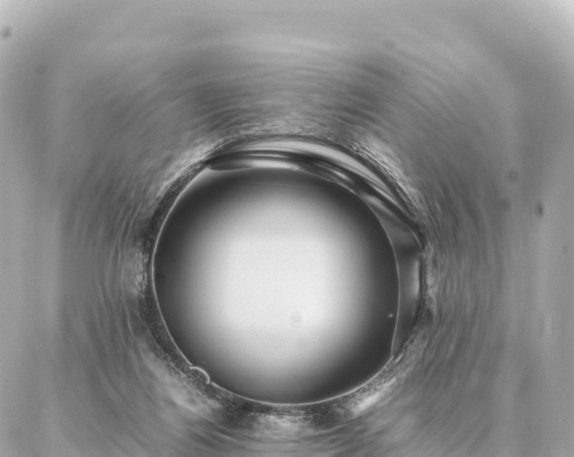 X0000087060164200704251038