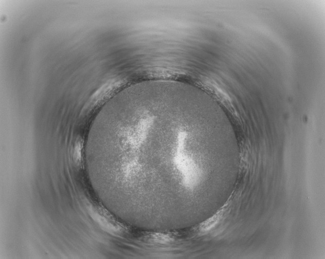 X0000087060166200704251038