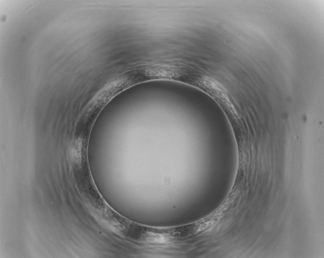 X0000087060167200704251038