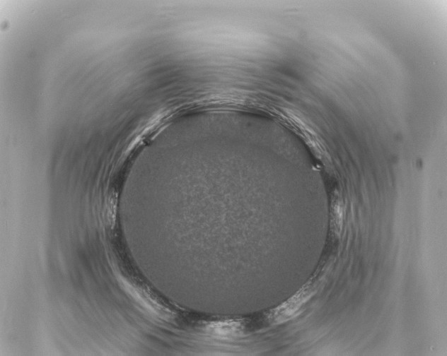 X0000087060168200704251038