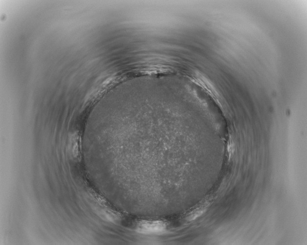 X0000087060169200704251038