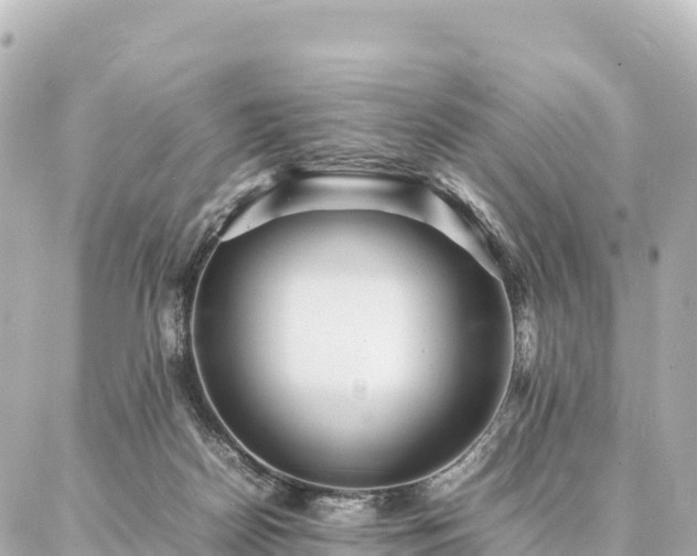 X0000087060170200704251038