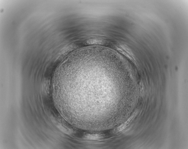 X0000087060171200704251038