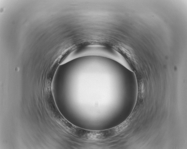 X0000087060172200704251038