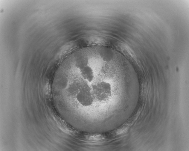 X0000087060173200704251038