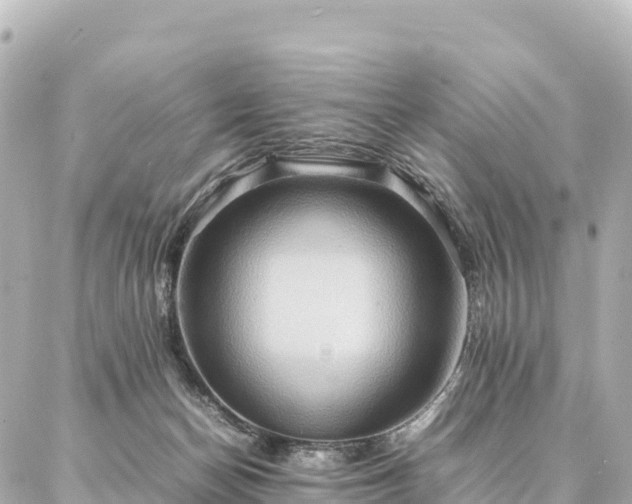 X0000087060174200704251038