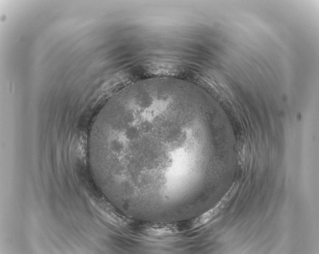 X0000087060175200704251038