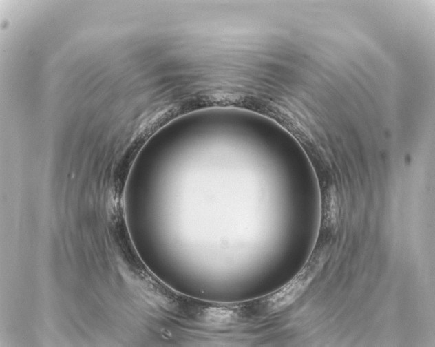 X0000087060176200704251038