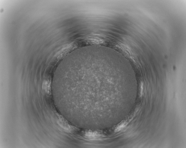 X0000087060177200704251038