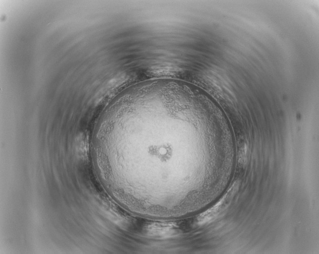 X0000087060179200704251038