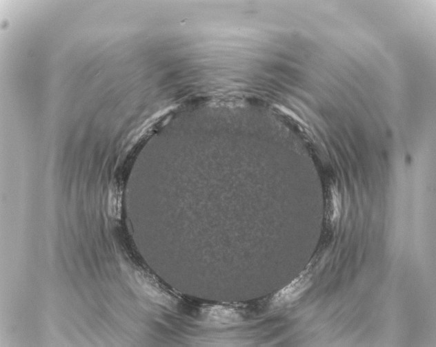 X0000087060180200704251038