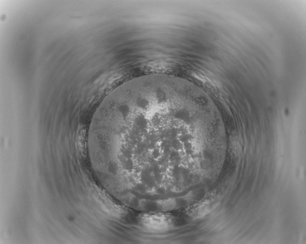 X0000087060181200704251038