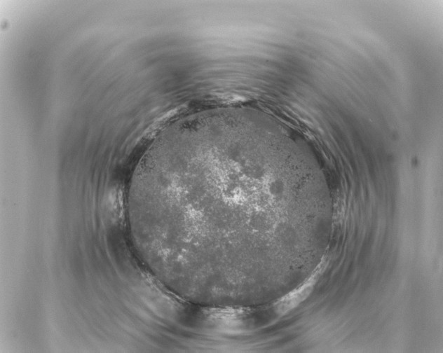 X0000087060182200704251038