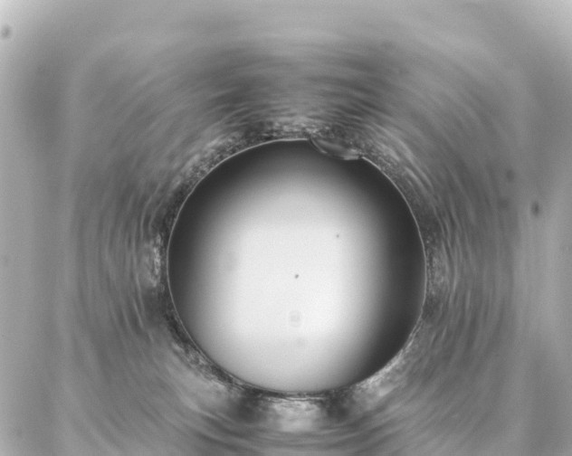 X0000087060183200704251038