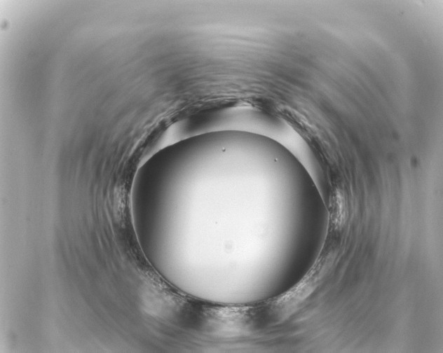 X0000087060184200704251038