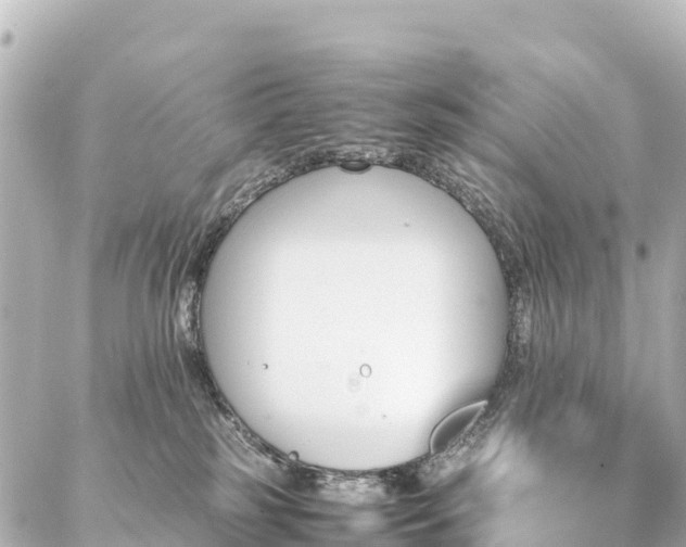 X0000087060185200704251038