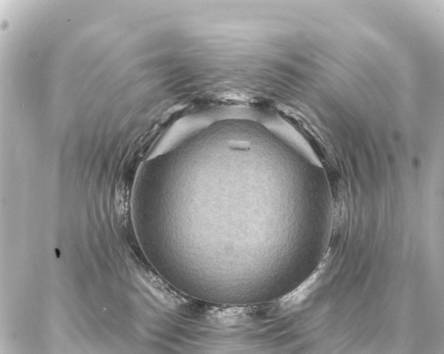 X0000087060186200704251038