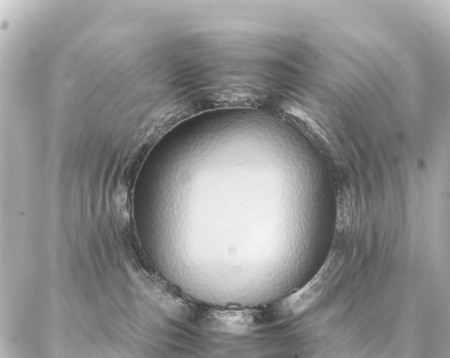 X0000087060187200704251038