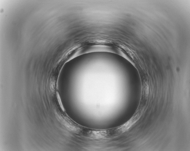 X0000087060188200704251038