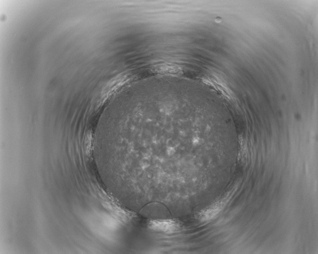 X0000087060189200704251038