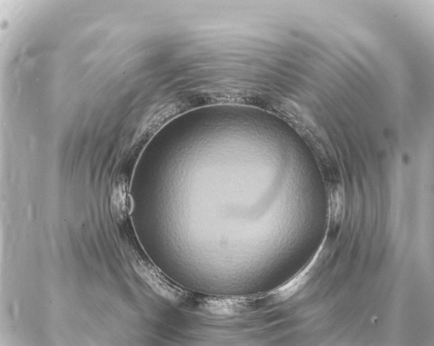 X0000087060190200704251038