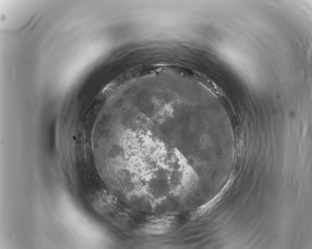 X0000087060191200704251038