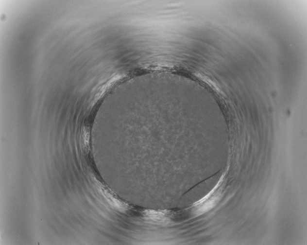 X0000087060192200704251038