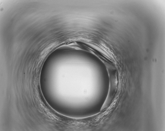 X0000087060193200704251038