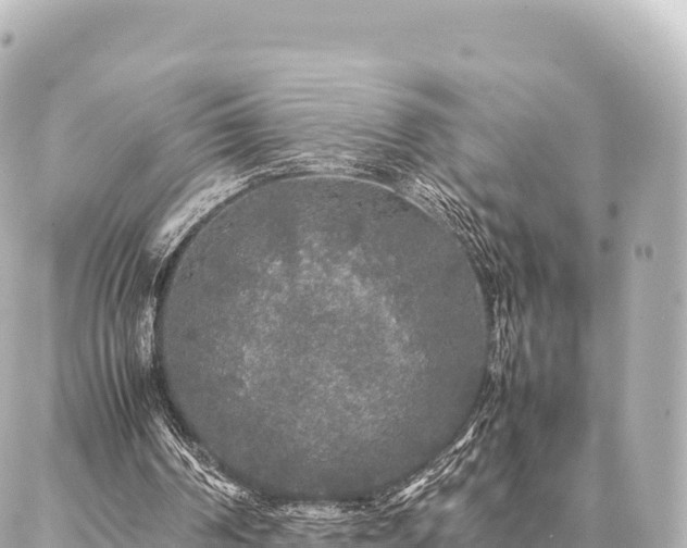 X0000087060194200704251038